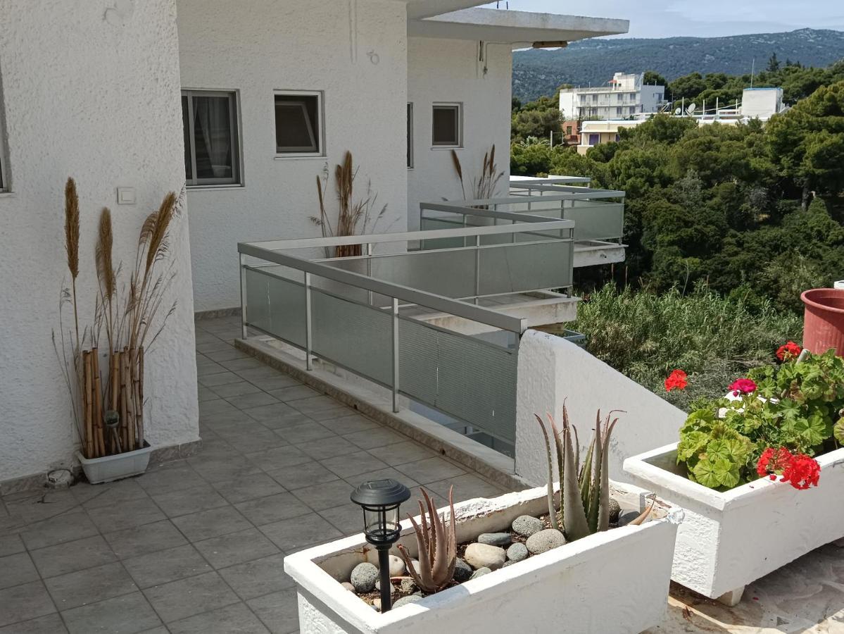 Meltemi Apartments Agia Marina  外观 照片